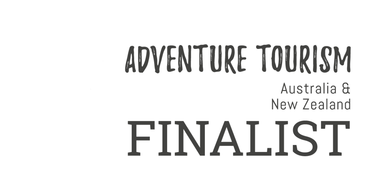 2024 Ata Awards Logo Finalist White